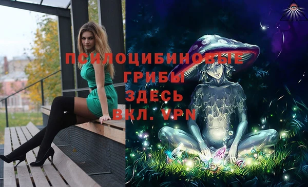крисы Богданович