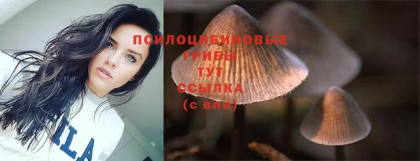 мяу мяу мука Балахна